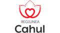Regiunii Cahul Logo