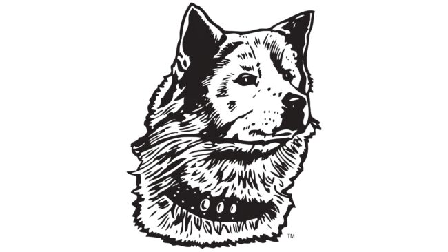 Washington Huskies Logotipo 1936-1937