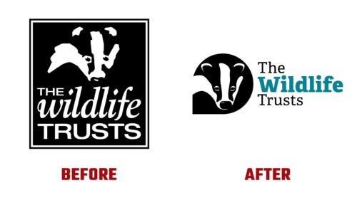 The Wildlife Trusts Antes y Despues del Logotipo (historia)